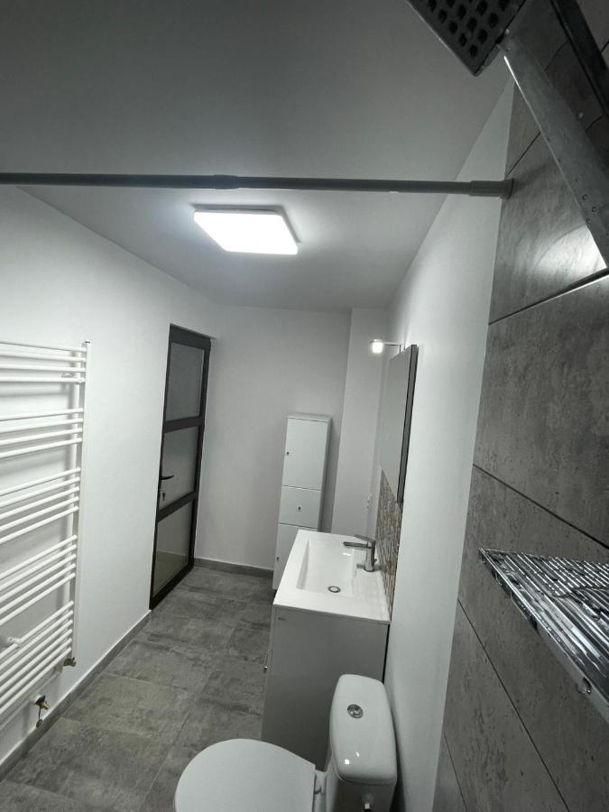 Casa Dan Apartment Buzau Exterior photo